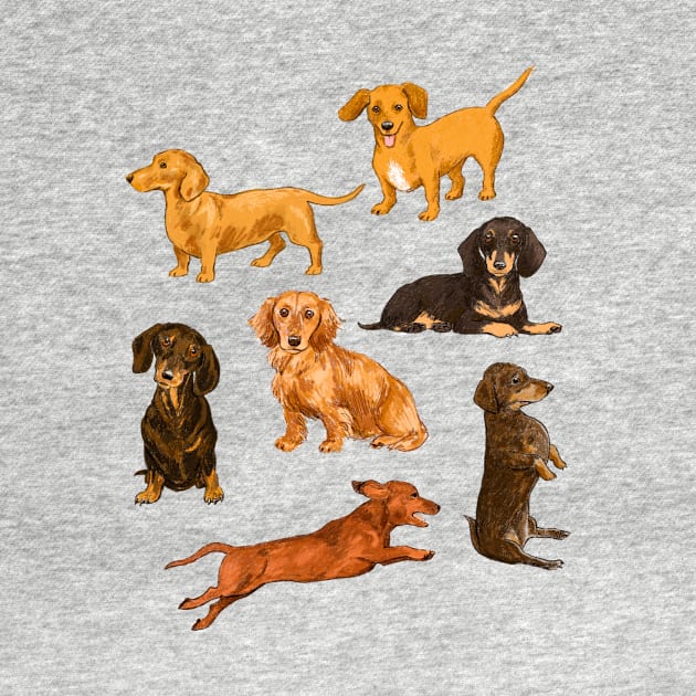 Dachshunds, dachshunds by AlisonKolesar